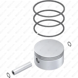 Piston & Ring