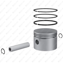 Piston & Ring