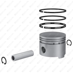 Piston & Ring
