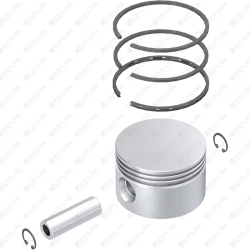 Piston & Ring