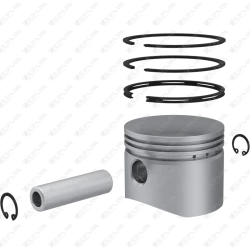 Piston & Ring