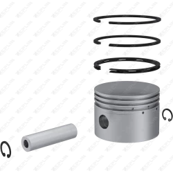 Piston & Ring