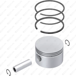Piston & Ring