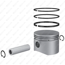 Piston & Ring