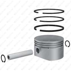 Piston & Ring