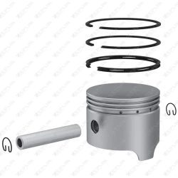 Piston & Ring