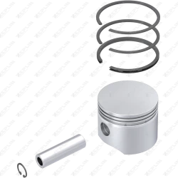 Piston & Ring