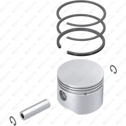 Piston & Ring