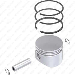 Piston & Ring