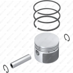 Piston & Ring