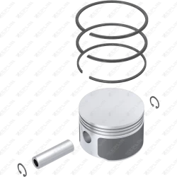 Piston & Ring