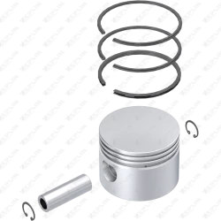 Piston & Ring