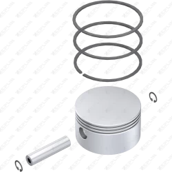 Piston & Ring