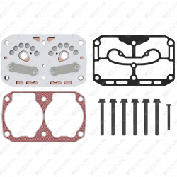 Valve Plate Kit