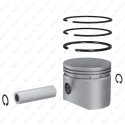 Piston & Ring