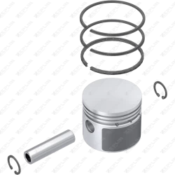 Piston & Ring