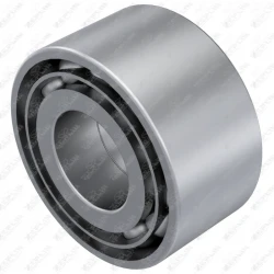Roller Bearing