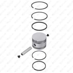 Piston & Ring