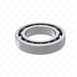Roller Bearing
