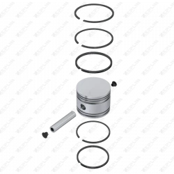 Piston & Ring