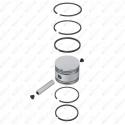 Piston & Ring