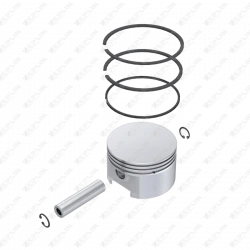 Piston & Ring