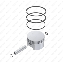 Piston & Ring